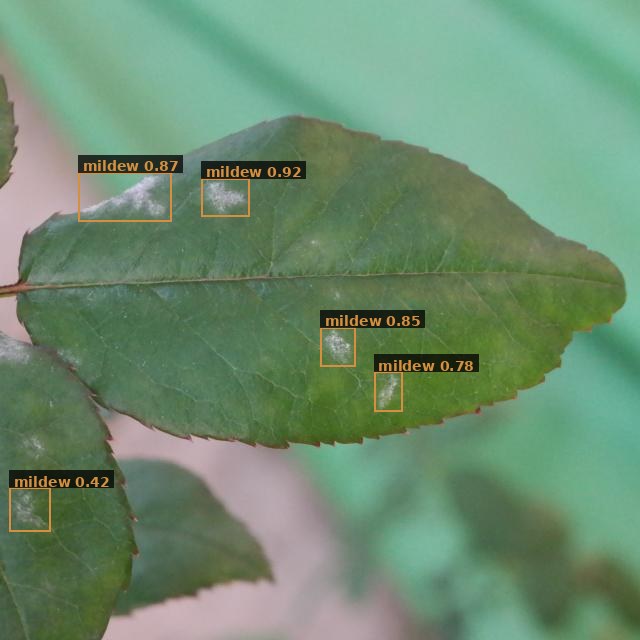 Agriculture defect detection, real output from a 40-label VisorVolt model